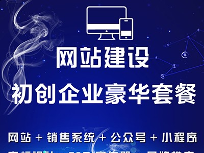 網站建設初創企業豪華套餐