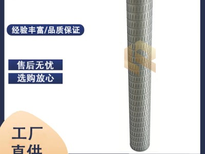 廠家替代PSFG-336-M1C01EB派瑞燃?xì)膺^濾器濾芯