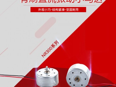 300 電機(jī)馬達(dá)掛脖小風(fēng)扇微型電機(jī)家用電器滅蚊燈直流電機(jī)