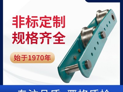 鑄造輸送機鏈 環球傳動 工程鏈非標定制 鏈條廠家